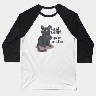 cat with groompy face Baseball T-Shirt